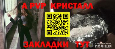 дмт Аргун