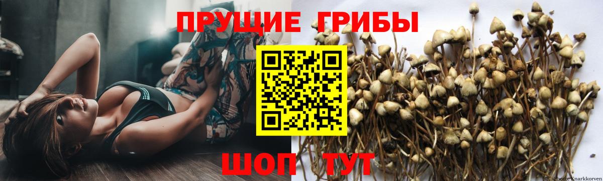 Псилоцибиновые грибы мухоморы  Галлюциногенные грибы мухоморы  Берёзовский  Вход с VPN 